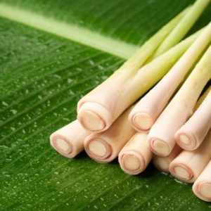 Lemongrass